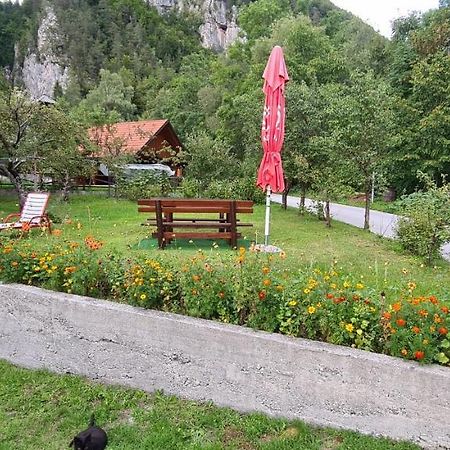 Apartma Vidic Gozd Martuljek Dış mekan fotoğraf