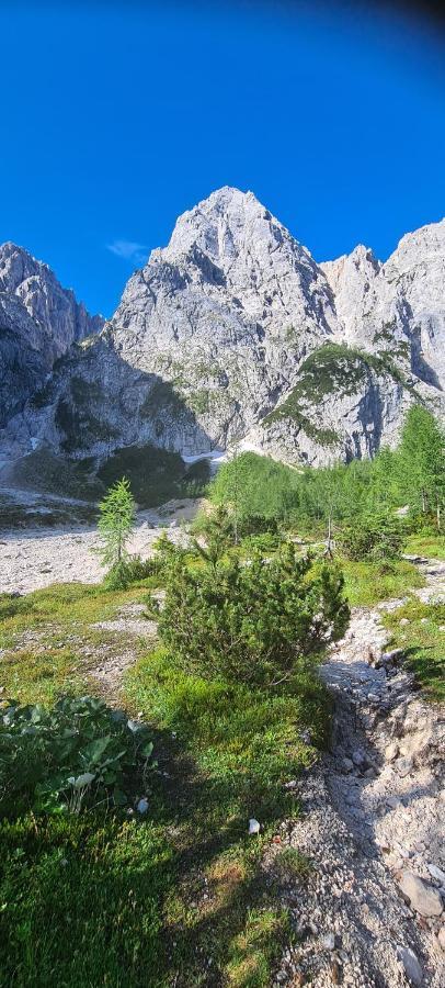 Apartma Vidic Gozd Martuljek Dış mekan fotoğraf