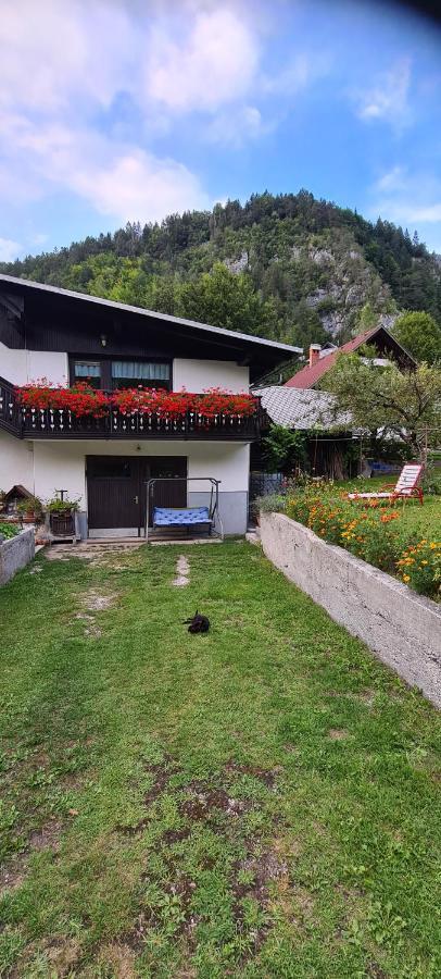 Apartma Vidic Gozd Martuljek Dış mekan fotoğraf