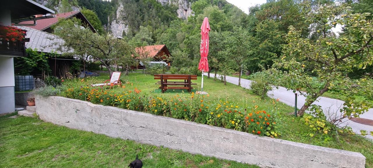 Apartma Vidic Gozd Martuljek Dış mekan fotoğraf