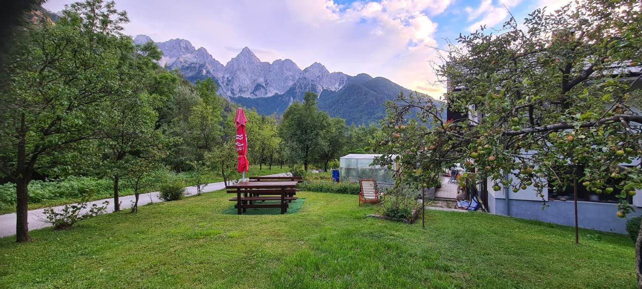 Apartma Vidic Gozd Martuljek Dış mekan fotoğraf